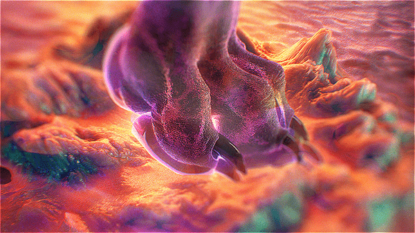 nike-ddm-gif-08